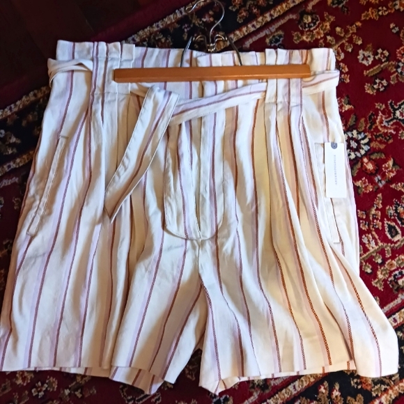 Anthropologie Striped Paperbag Short 4" Inseam NWT - Picture 4 of 10